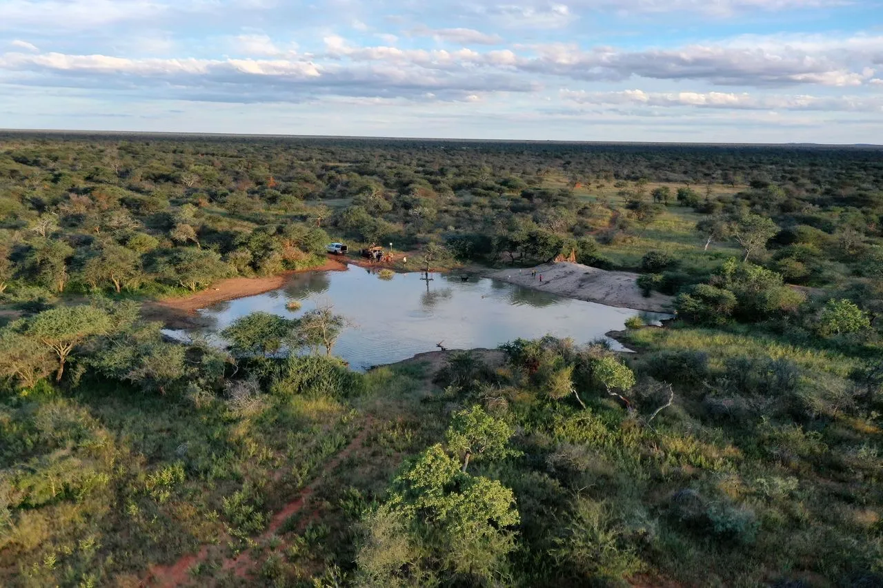 Kalahari bush landscape